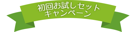 初回お試しセットキャンペーン